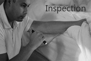 bed bugs inspection treatment dubai